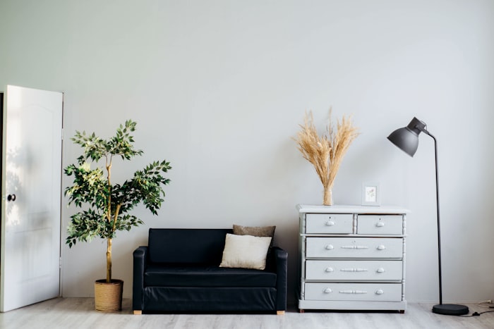 Clean organized living space after junk removal